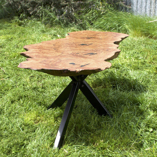Blackbark Timber Burl Coffee Table