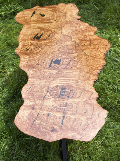 Blackbark Timber Slab Burl Coffee Table