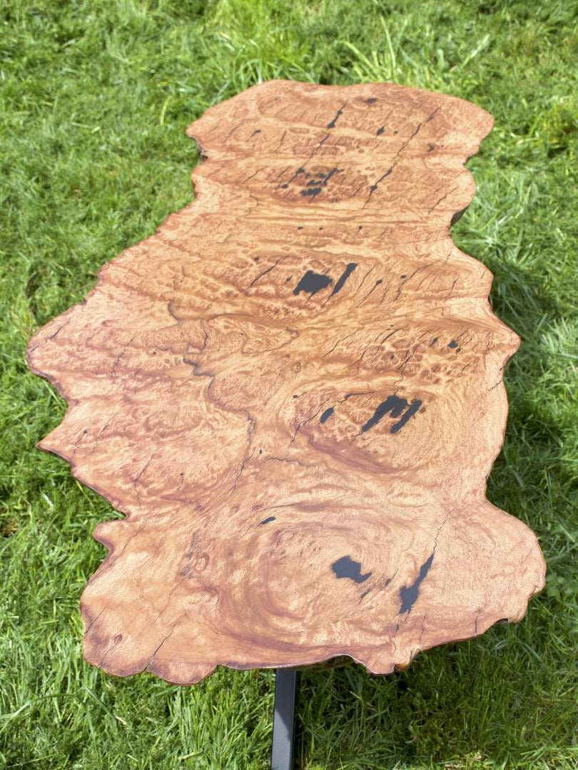 Blackbark Timber Slab Burl Coffee Table